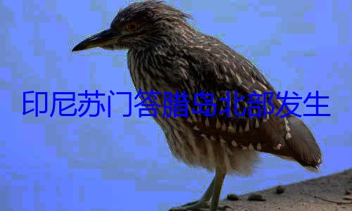 米地震 震源印尼苏门答腊岛北部发生57级深度10千