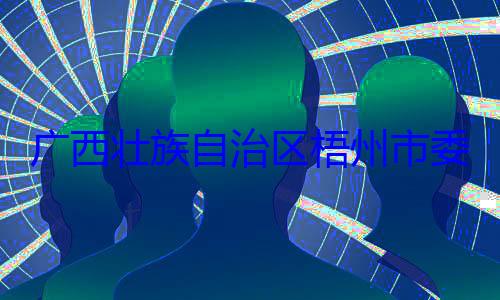 被查委副书记治区梧州市广西壮族自市长李振品